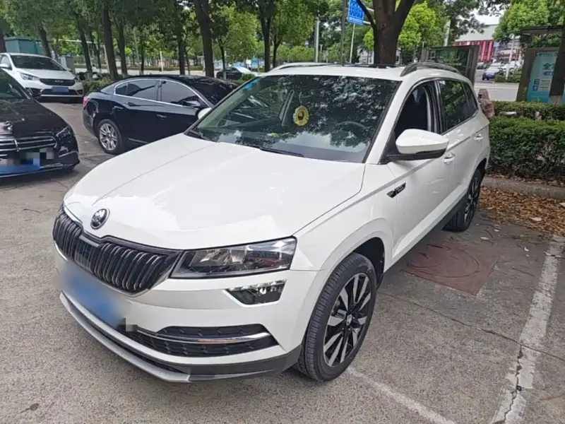 Skoda Karoq, 2019