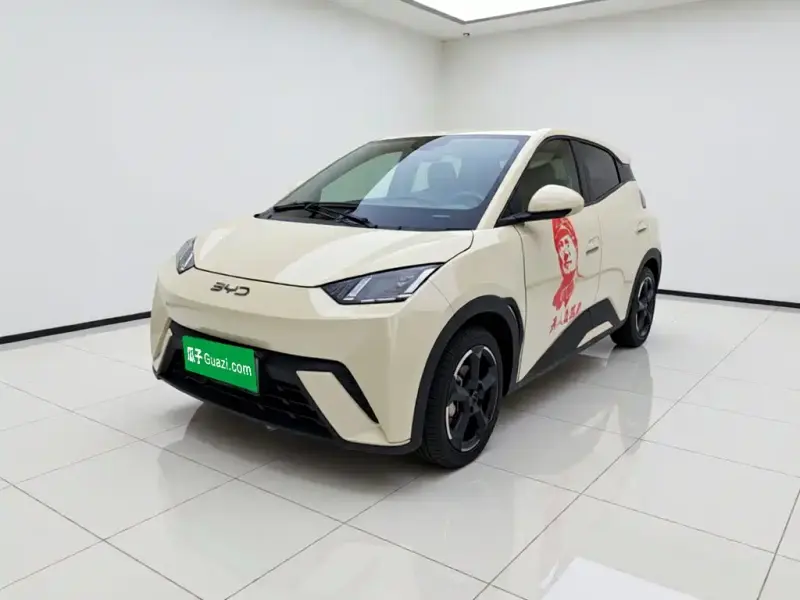 BYD Seagull, 2024
