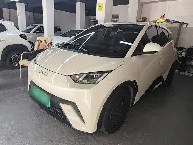 BYD Seagull, 2024