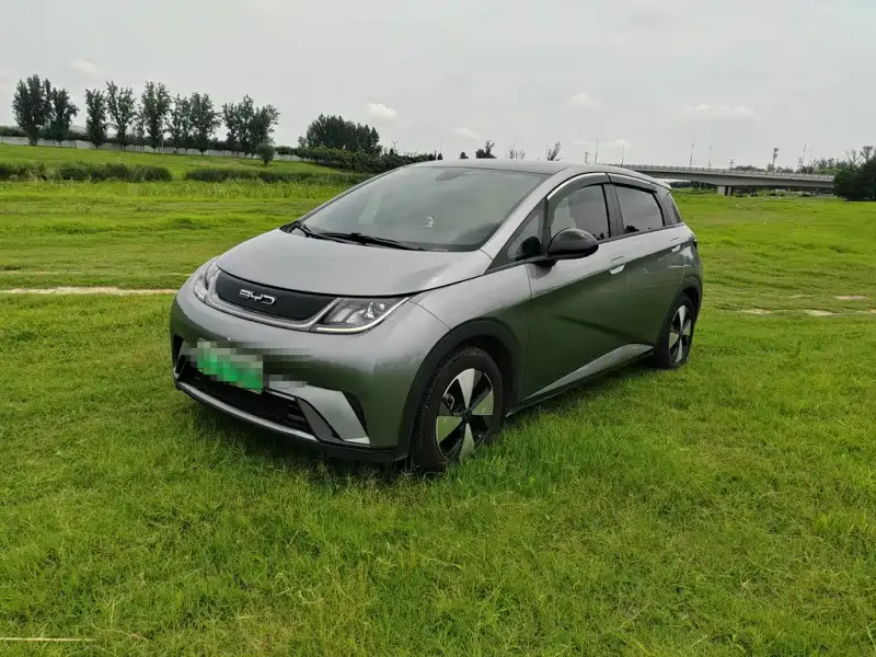 BYD Dolphin, 2023