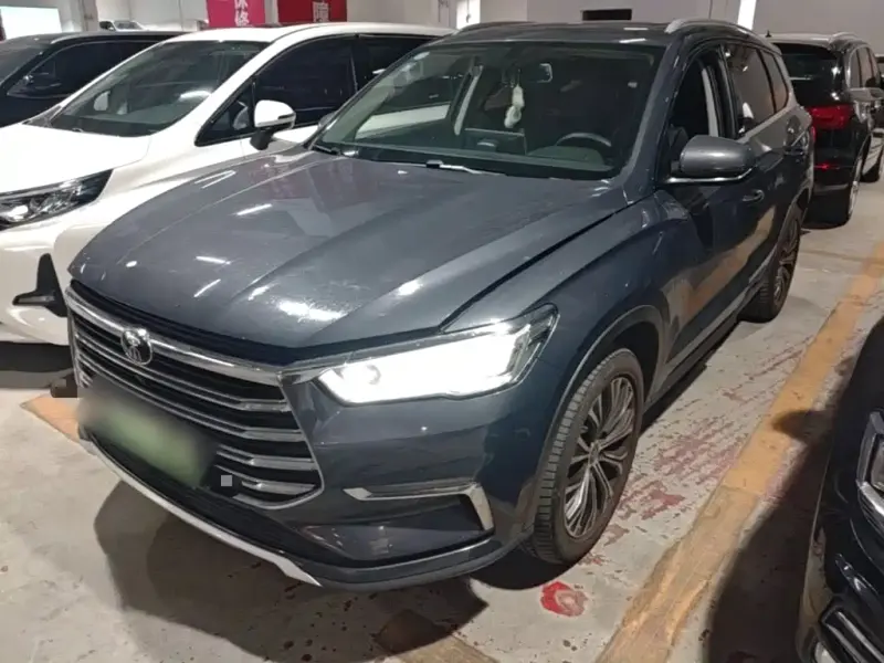 BYD Pro New Energy, 2020
