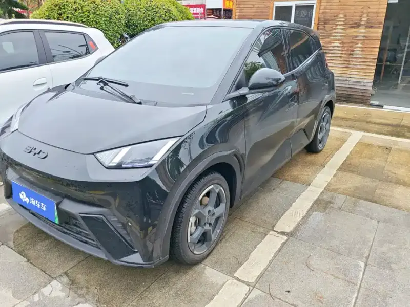 BYD Seagull, 2024
