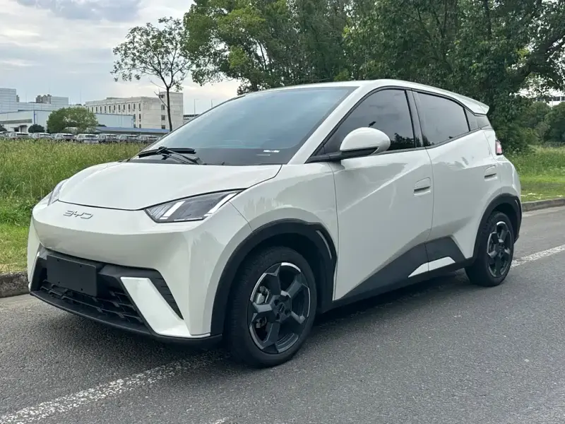 BYD Seagull, 2024