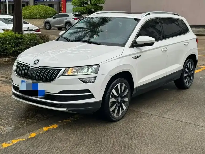 Skoda Karoq, 2020
