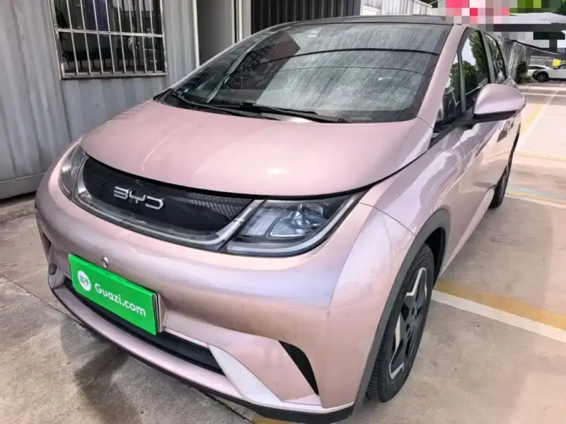 BYD Dolphin, 2022