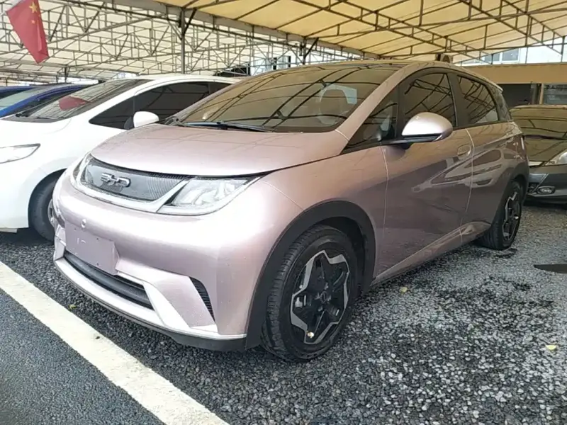 BYD Dolphin, 2022