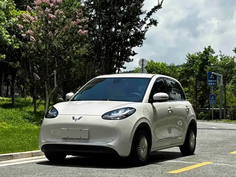 Wuling Bingo, 2025