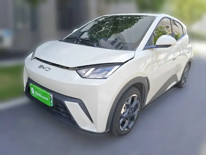 BYD Seagull, 2024