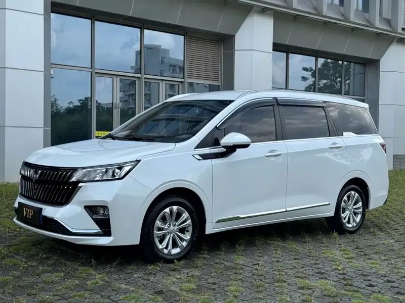 Wuling Jiachen, 2024