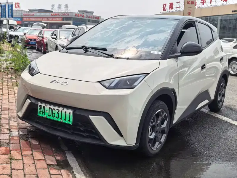 BYD Seagull, 2024