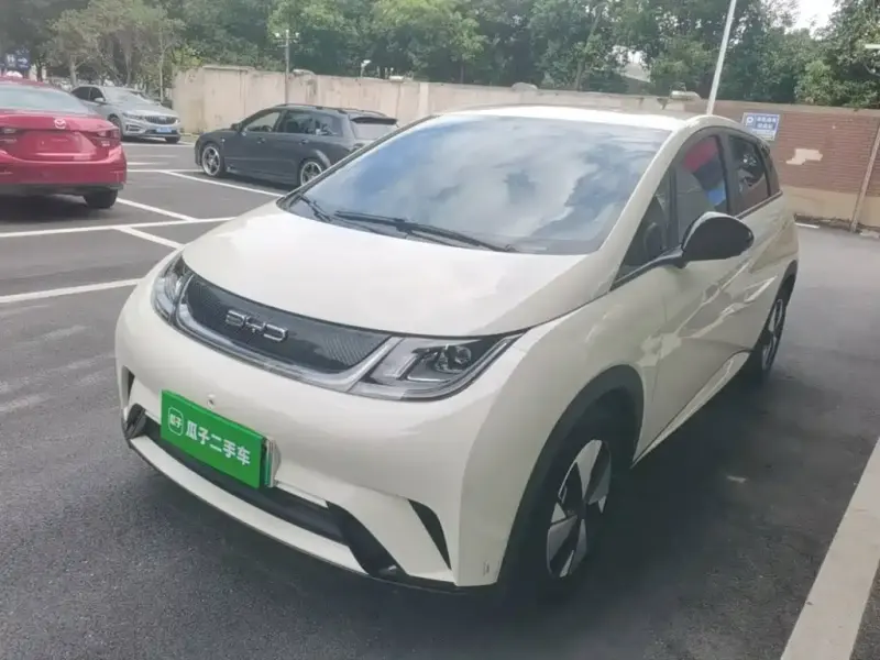 BYD Dolphin, 2023