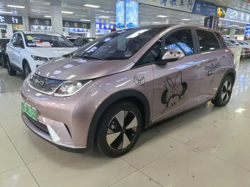 BYD Dolphin, 2024