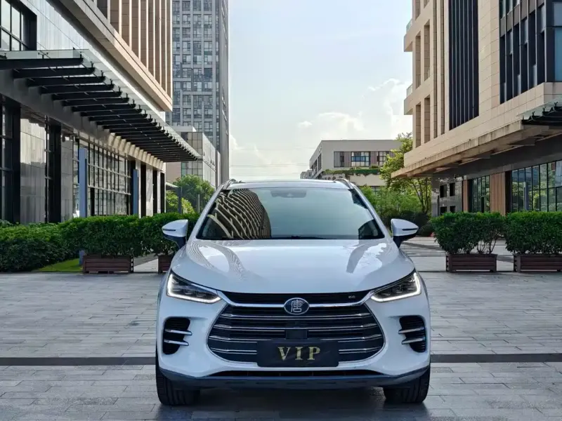 BYD Tang New Energy, 2019