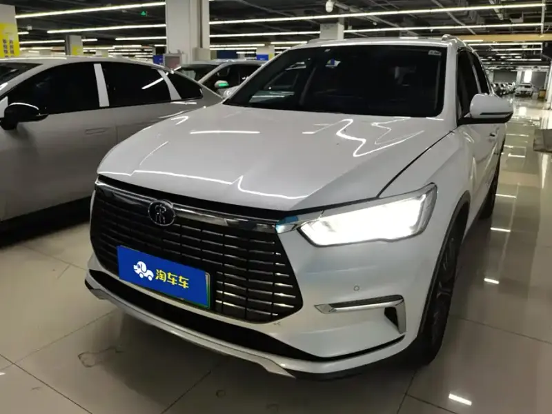 BYD Pro New Energy, 2020