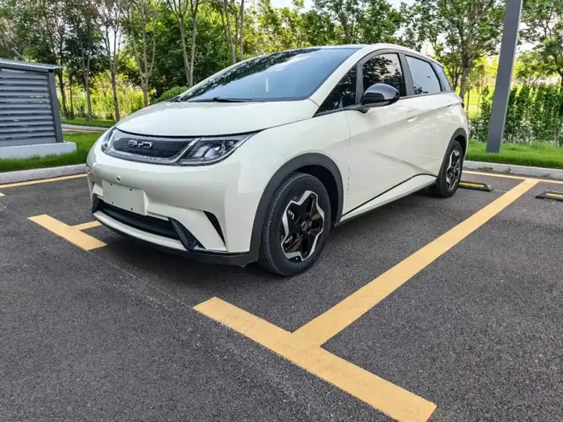 BYD Dolphin, 2023