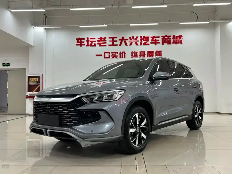 BYD Pro New Energy, 2024