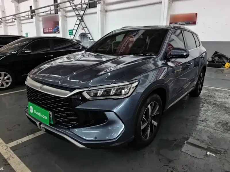 BYD Pro New Energy, 2024
