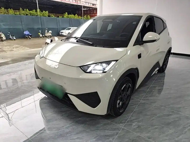 BYD Seagull, 2026