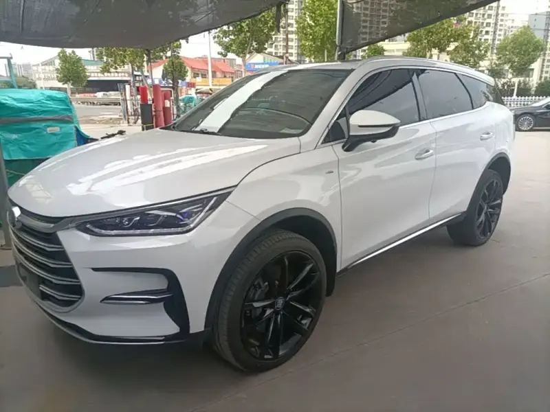 BYD Tang New Energy, 2020