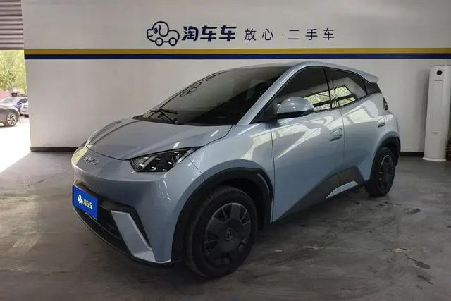 BYD Seagull, 2024