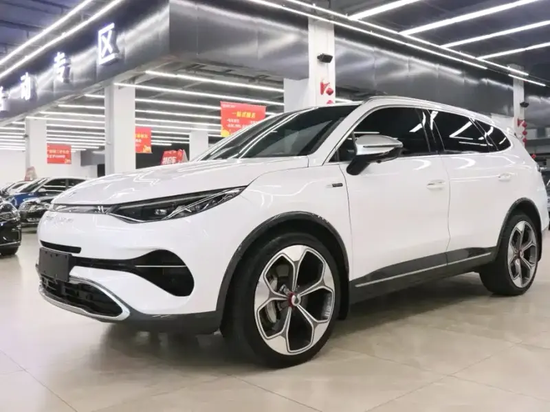 Denza X, 2021