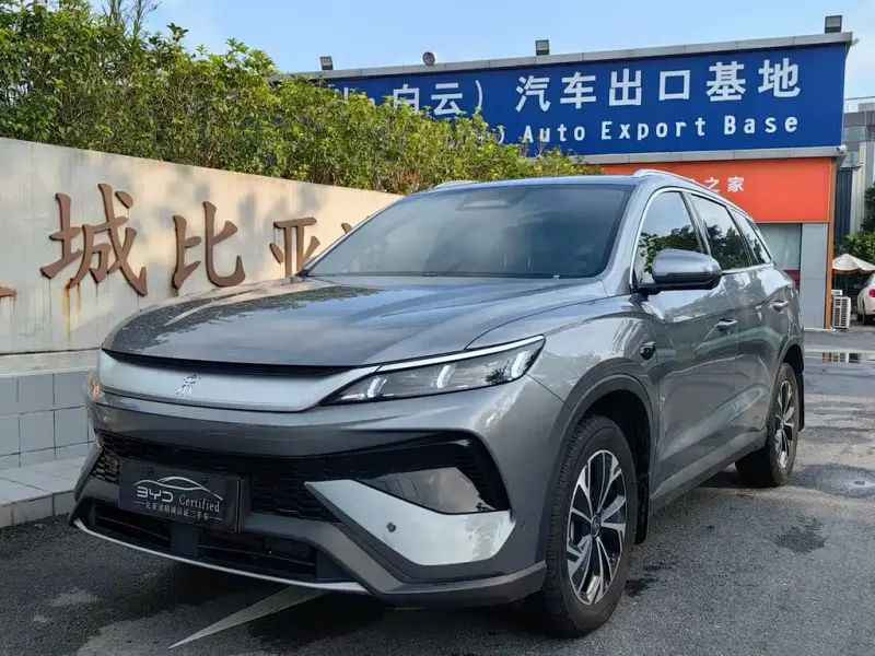 BYD Pro New Energy, 2025