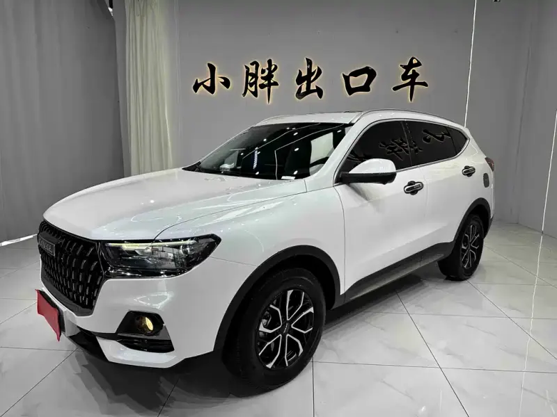 Haval H6, 2023