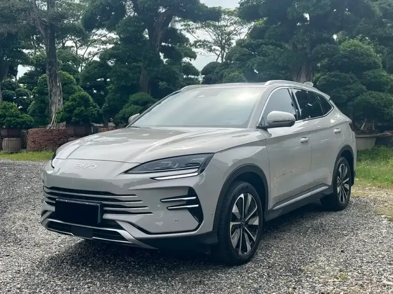 BYD PLUS New Energy, 2024