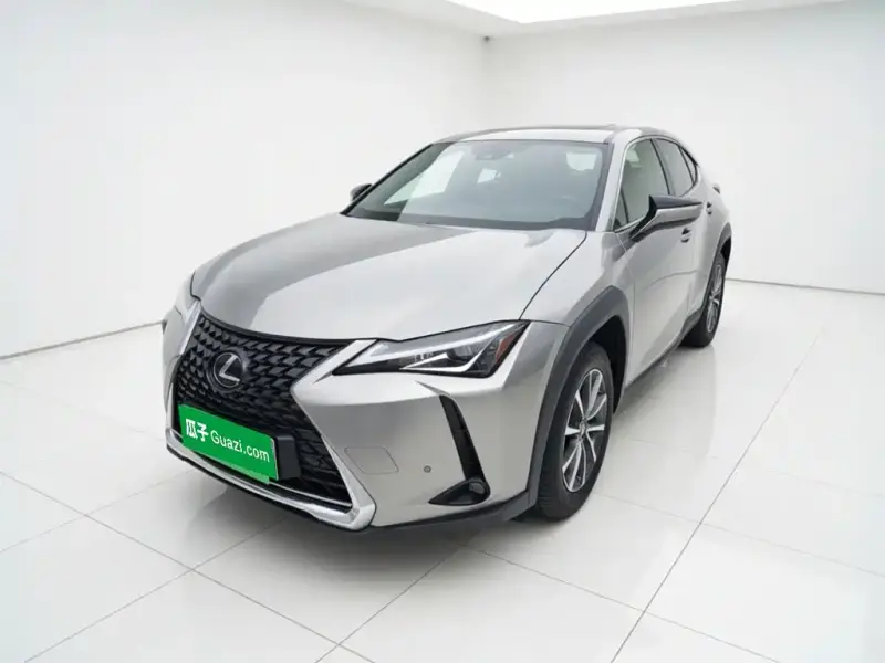 Lexus UX New Energy, 2021