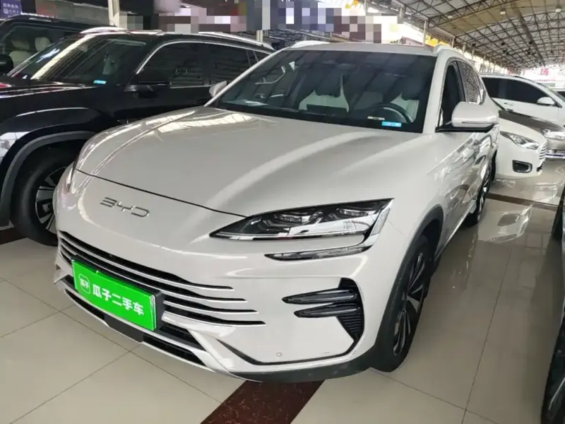 BYD PLUS New Energy, 2023
