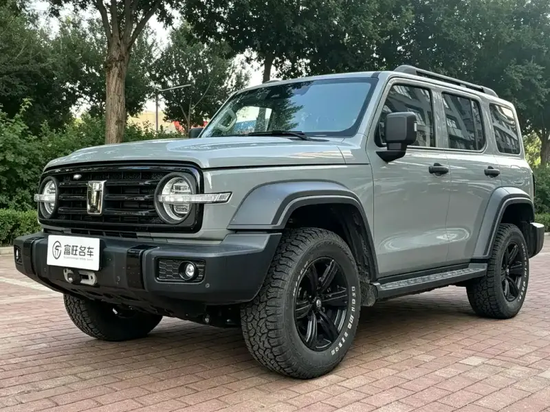 Tank 300, 2021