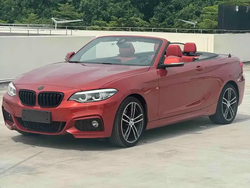 BMW 2 Series (Import), 2018