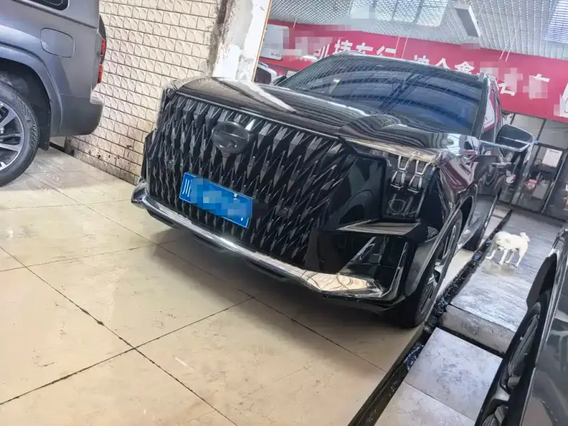 GAC Motor Trumpchi GS8, 2022