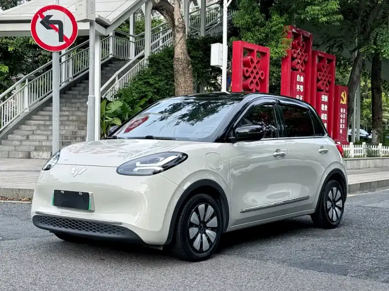Wuling Bingo, 2024