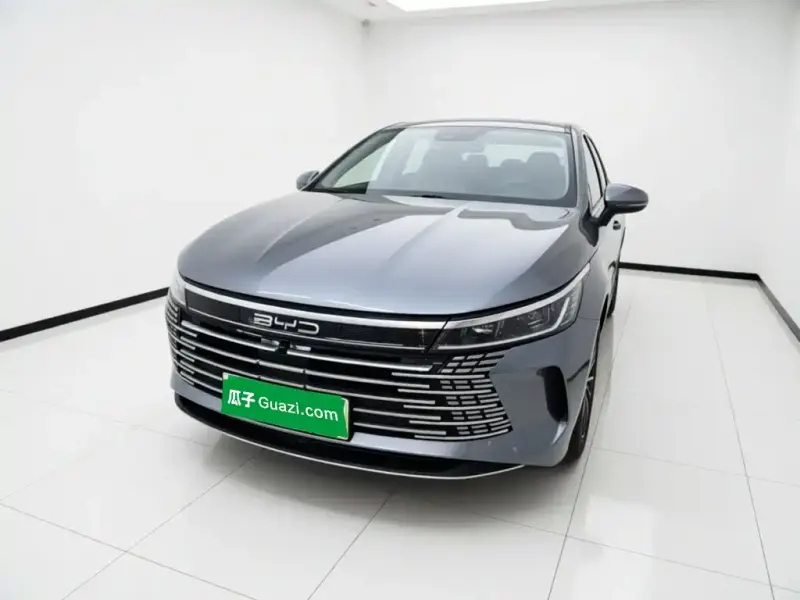 BYD Destroyer 05, 2024