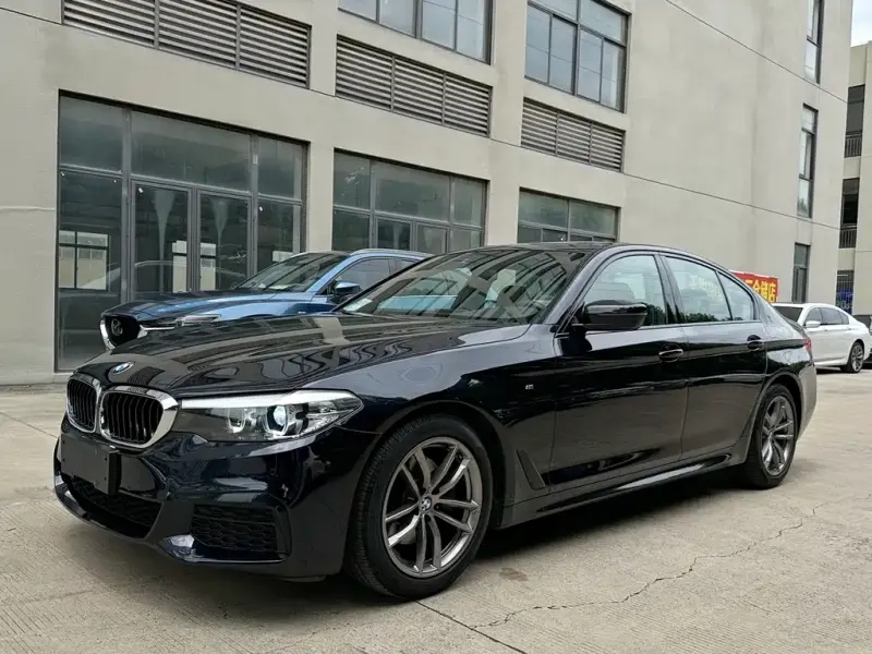 BMW 5 Series (Import), 2019