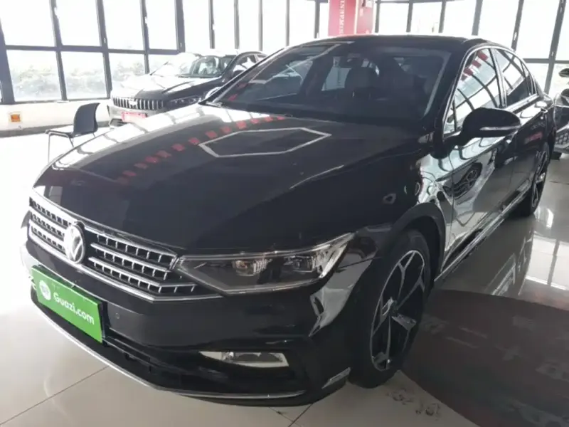 Volkswagen Magotan, 2024