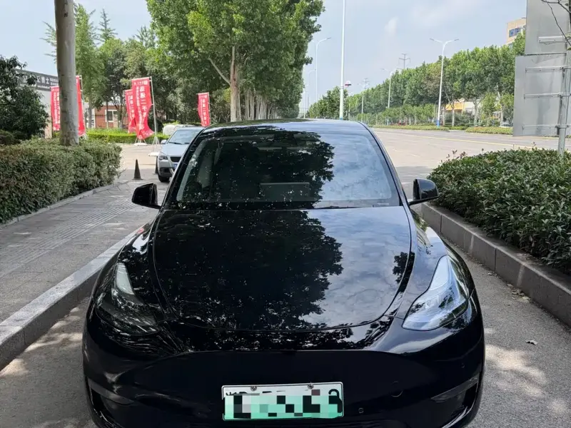 Tesla Model Y, 2021
