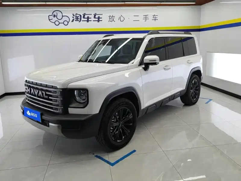Haval Menglong New Energy, 2024