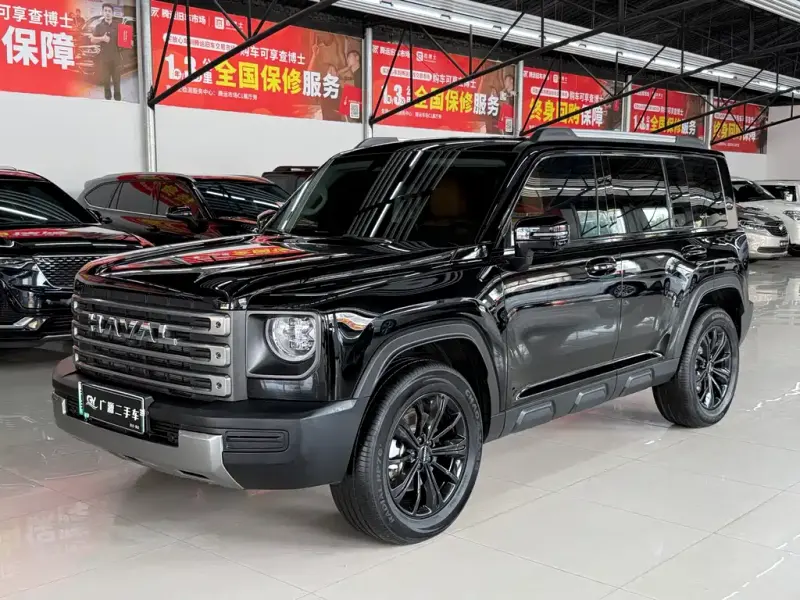 Haval Menglong New Energy, 2025