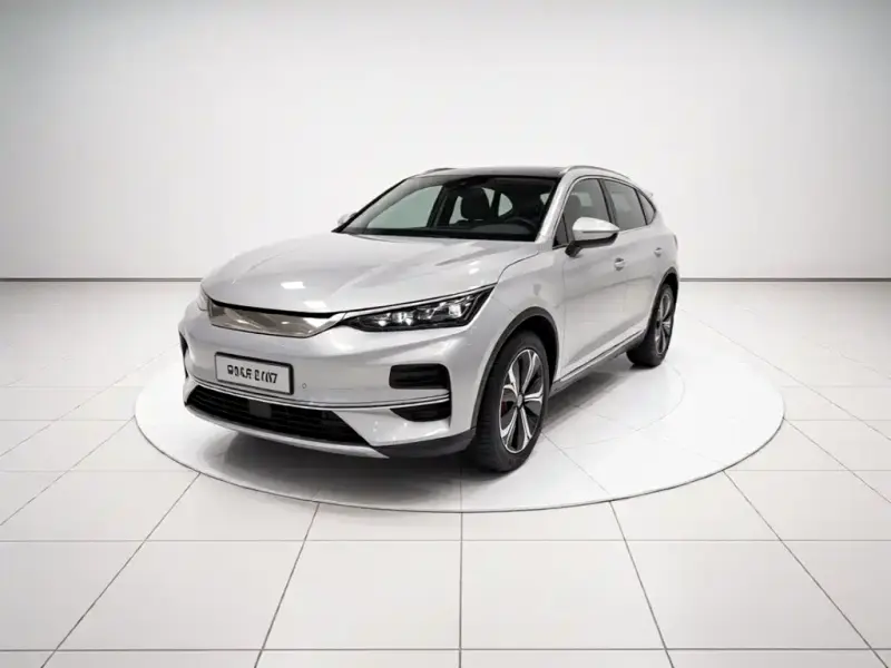 BYD Tang New Energy, 2024