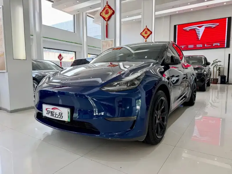 Tesla Model Y, 2021