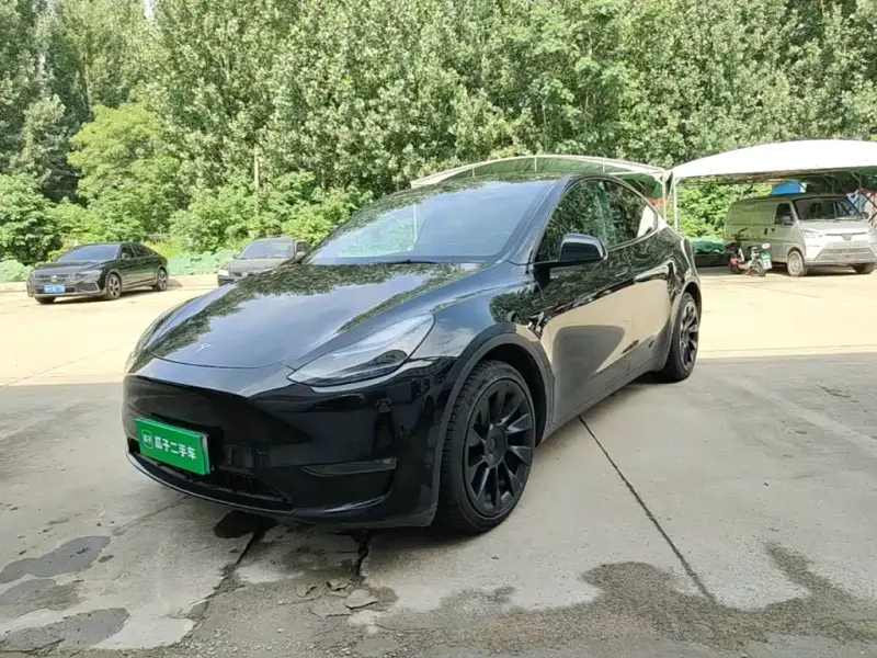 Tesla Model Y, 2021