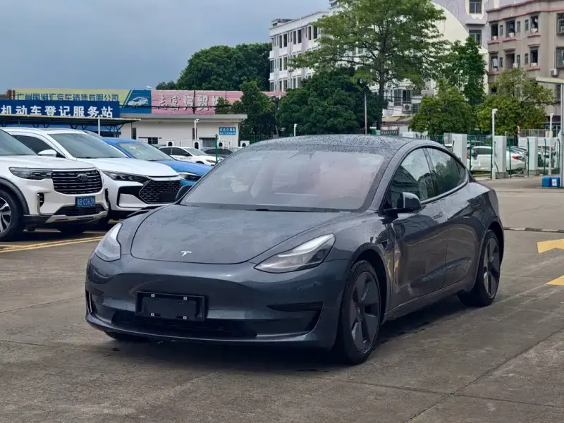 Tesla Model 3, 2021