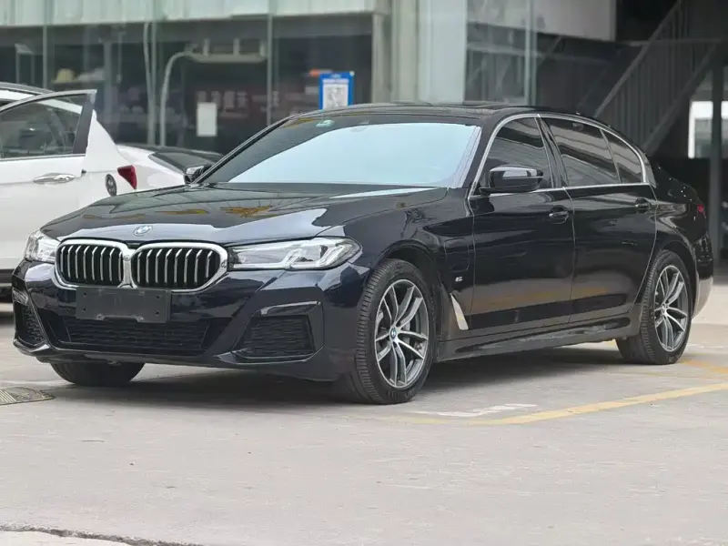 BMW 5 Series New Energy, 2020