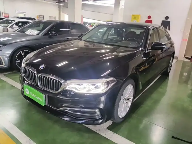 BMW 5 Series New Energy, 2020