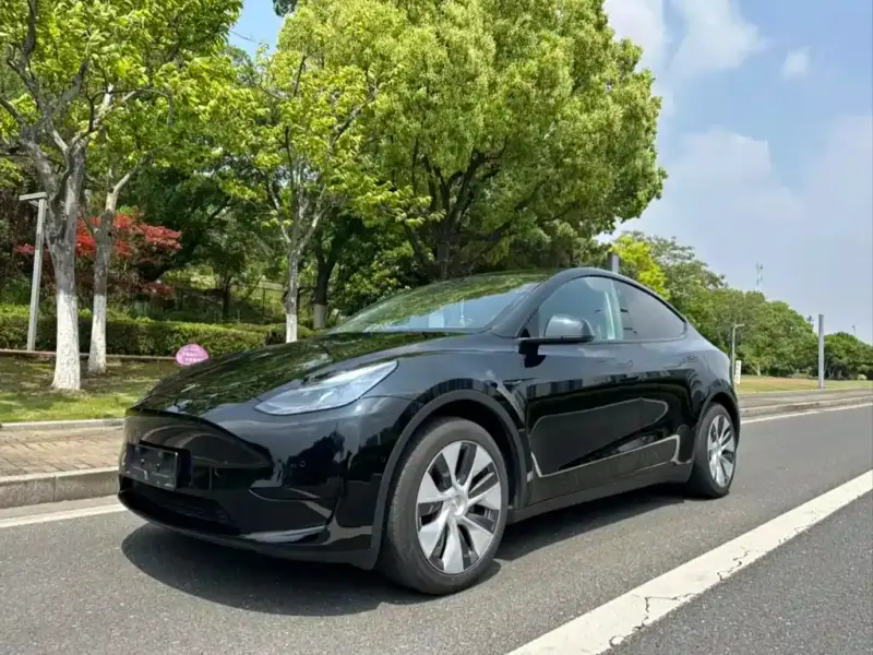 Tesla Model Y, 2022