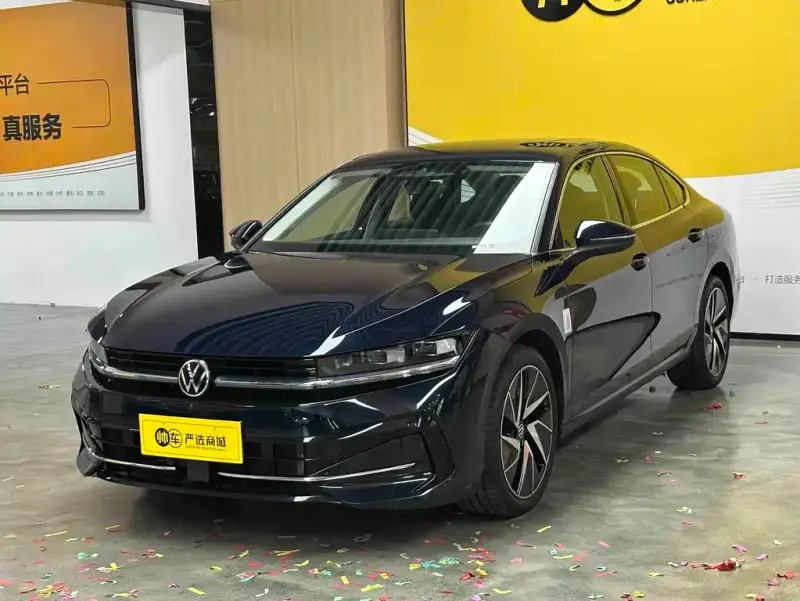 Volkswagen Magotan, 2024