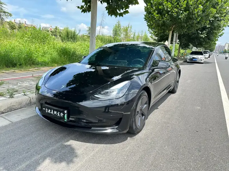 Tesla Model 3, 2023