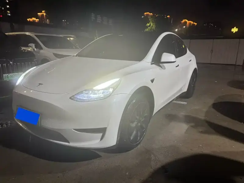 Tesla Model Y, 2024